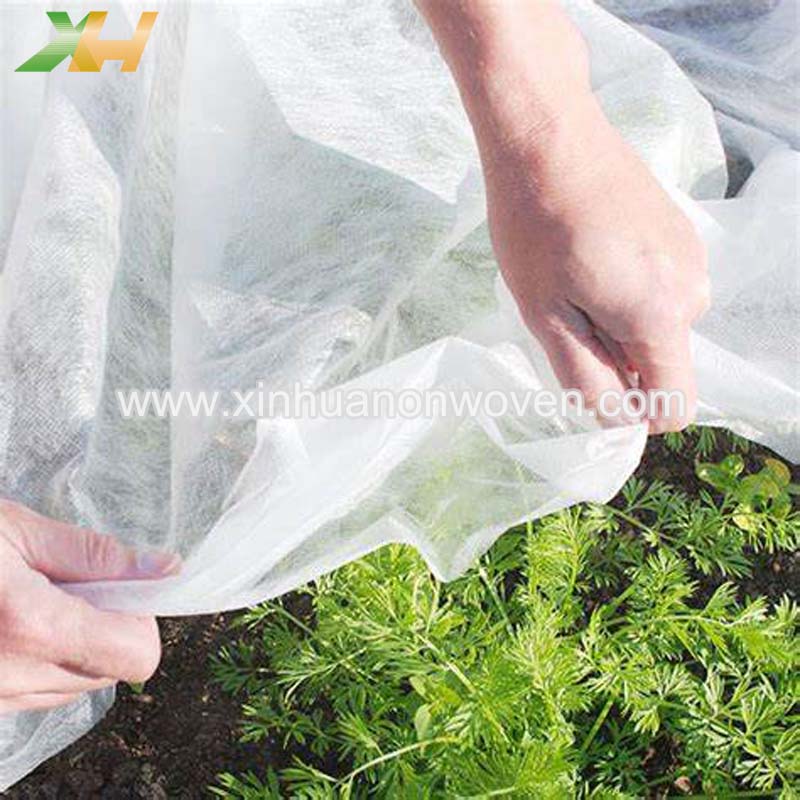 pp non woven fabric price