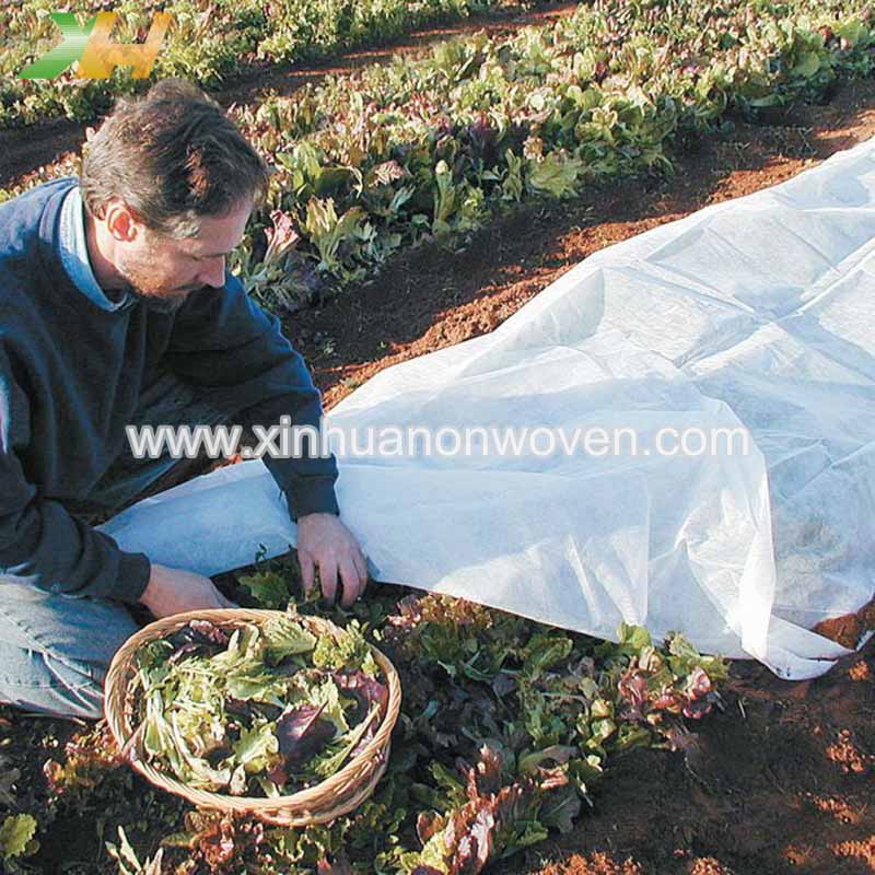 plant cover non woven