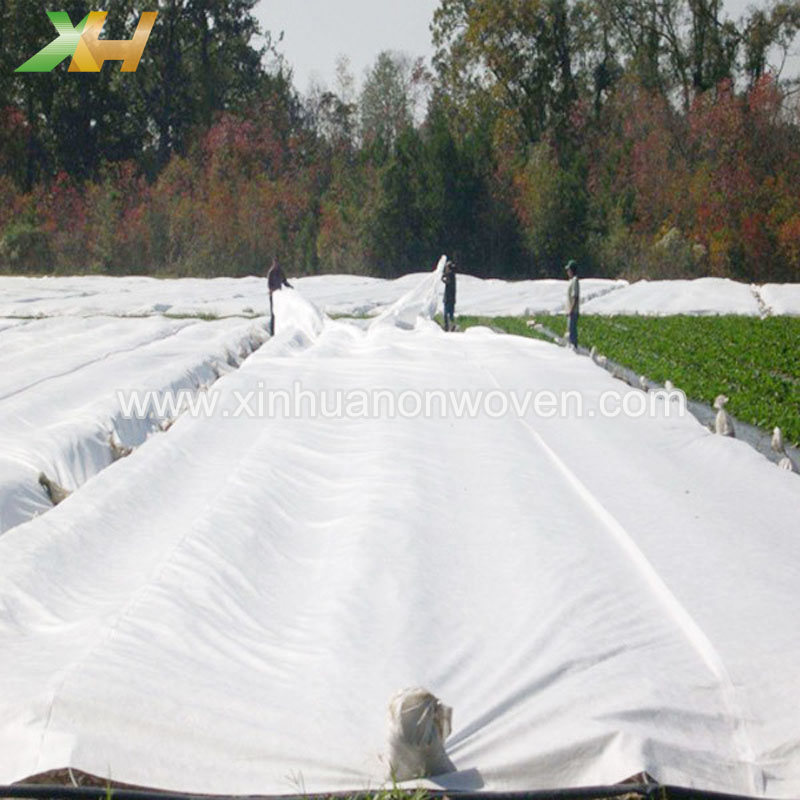 agriculture non woven fabric