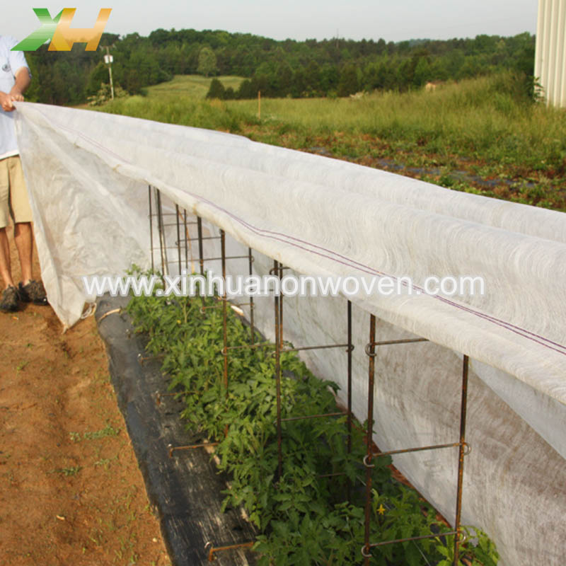 Почему в сельском хозяйстве используются нетканые материалы?